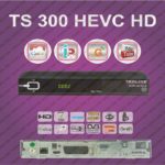 ts 300